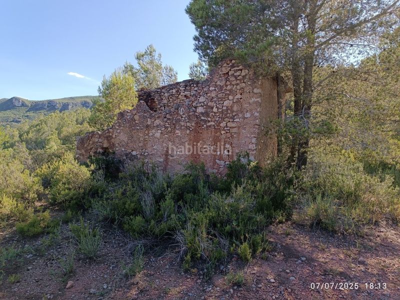 Foto 2dbb1285-5d57-45ac-9053-5cb1ba147c54. Finca rústica a carrer major 1 a Valls