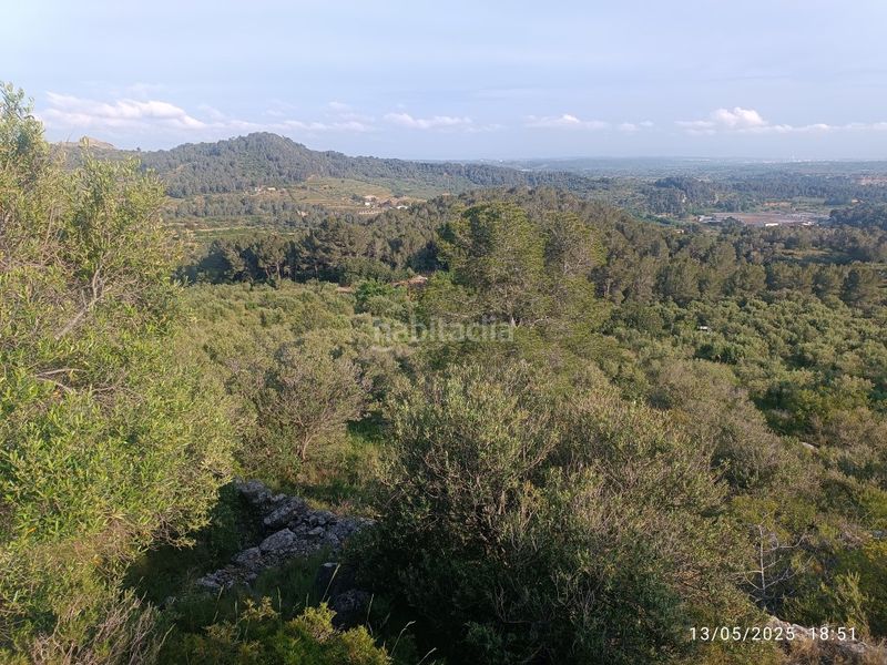 Foto 433da37f-3b28-4a5d-885a-ff7ea2639560. Finca rústica a carrer major 1 a Valls