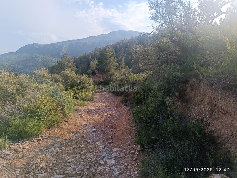 Foto 4c04dc9e-b017-42a0-a084-959b26d95125. Finca rústica a carrer major 1 a Valls