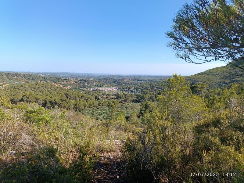 Foto bb79a6e0-9624-4b93-9cf8-bf0abbd9925b. Finca rústica a carrer major 1 a Valls