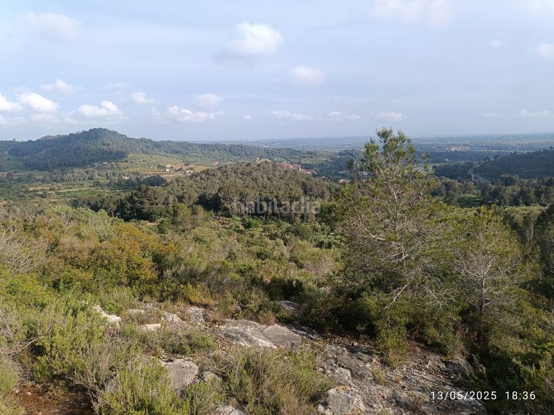 Foto ed0671b6-2987-472e-8b6d-c29f6291dd42. Finca rústica a carrer major 1 a Valls