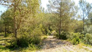 Finca rústica  Carrer olesa de bonesvalls 9. Olesa de bonesvalls.- finca de 4,7 hectáreas forestal cercana al