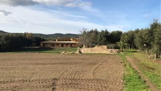 Masia  Paratge sorrell. Mas roure  el encanto de una masia pero ubicada a pocos metros d