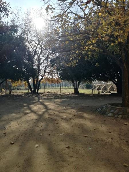 Foto 0de9c74e-1dcd-4e9a-a356-8a92e96e0950. Masia amb calefacció piscina a Molí de Vent-La Sauleda Palafrugell