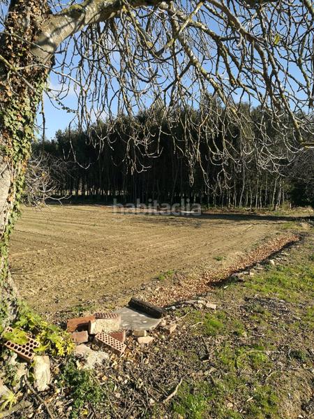 Foto 2d502934-3490-41d5-99f2-84f7b87ff31d. Masia amb calefacció piscina a Molí de Vent-La Sauleda Palafrugell
