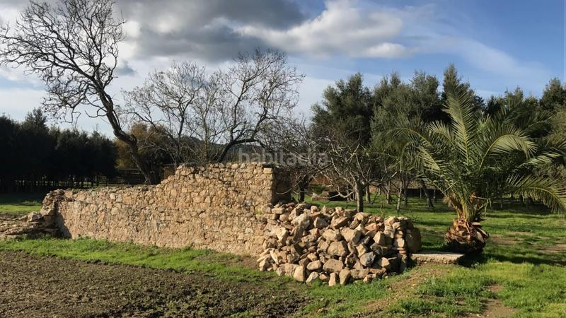 Foto 5b63e781-aef0-4b18-8669-7d2cec89f050. Masia amb calefacció piscina a Molí de Vent-La Sauleda Palafrugell