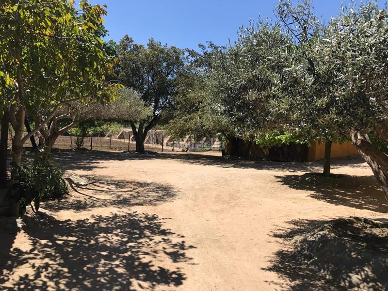 Foto 994f5b8c-8564-4f38-b766-d1fac7e52df5. Masia amb calefacció piscina a Molí de Vent-La Sauleda Palafrugell