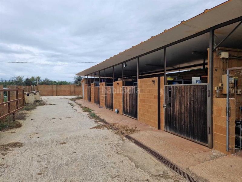 Foto 55f1e399-70e4-40f7-a99a-4a9dc9839025. Casa amb calefacció piscina a Forallac