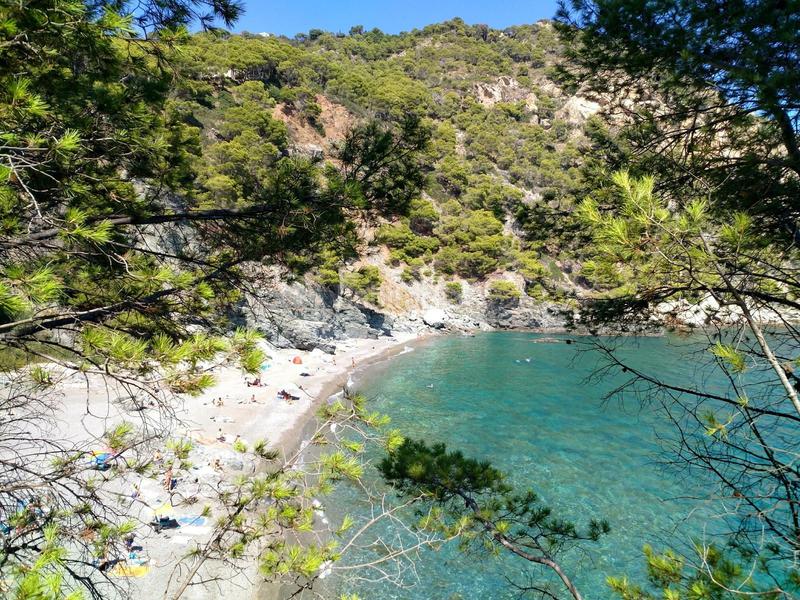 Foto 30aa26af-c733-404a-a43f-b24705d29005. Xalet amb calefacció aparcament piscina a residencial Begur-esclanyà Begur