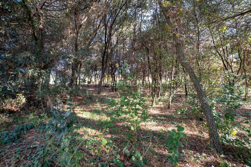 Foto 1594d778-b6b1-4791-b98d-2258d9d40997. Wohngrundstück in Ametlla del Vallès (L´)