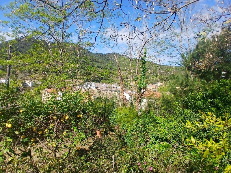 Foto 0d7f82f3-aba2-4fde-b787-dff5482f97c2. Terreno residencial parcela edificable en el centro con anteproyecto de vivienda unifamiliar de 384 m en Cabrera de Mar