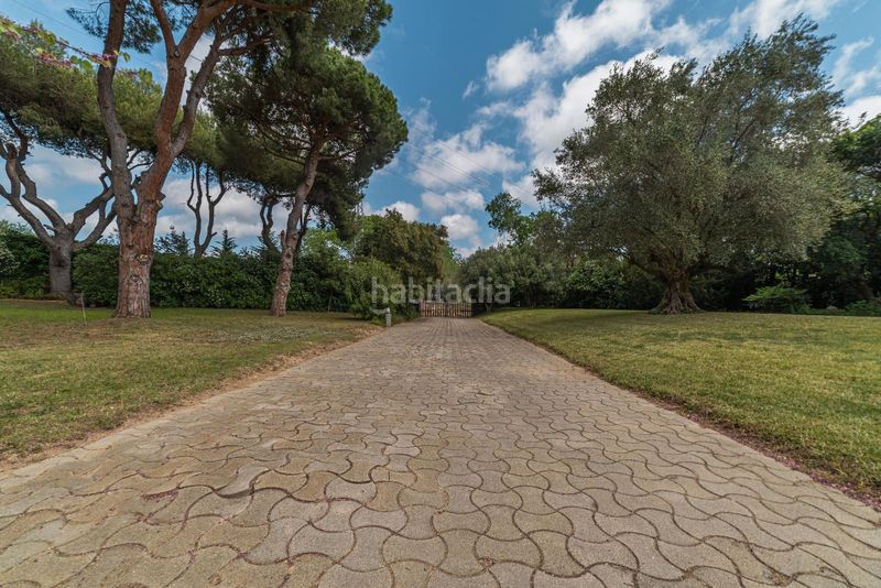 Foto 50da6110-e329-4c2c-af17-64145f43e82d. Chalet finca única con más de 7.000 m de privacidad a un paso de barcelona en Arenys de Munt