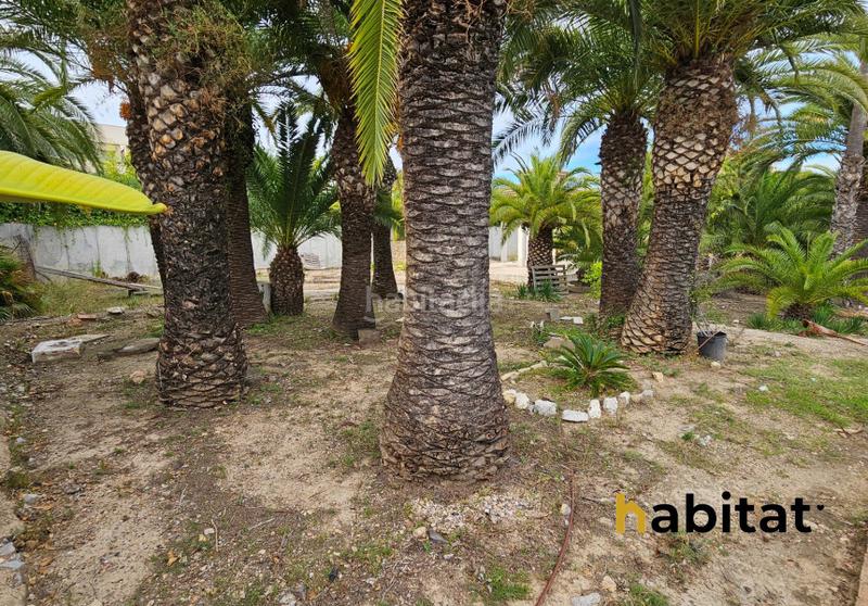 Foto 86cf6305-a455-47cd-9f19-80740be6fc0e. Wohngrundstück in via augusta 66 in Llevant Tarragona