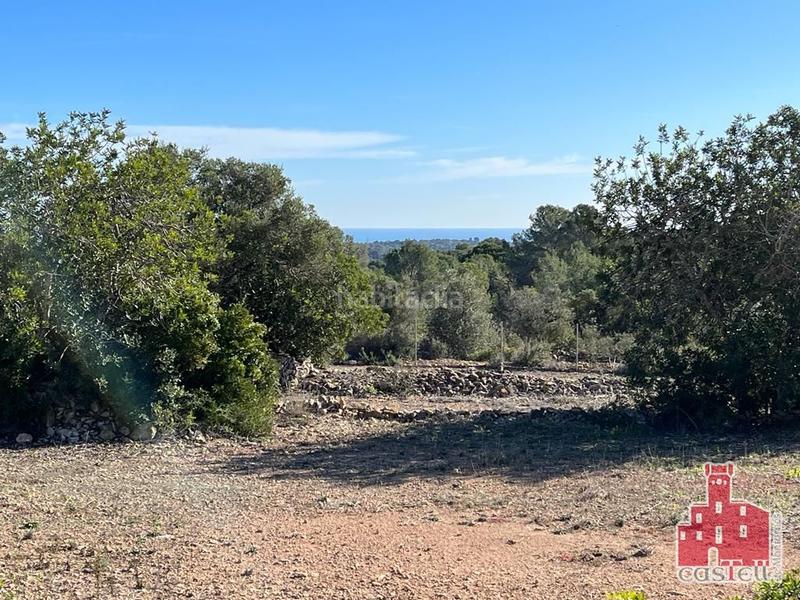 Foto 2d0eb588-7be4-4b1f-8038-dda054f64ba8. Finca rústica ref 6.000.- finca agrícola. la pobla de montornés (tarragona)
finca agrícola = 15.101m2 en Pobla de Montornès (La)