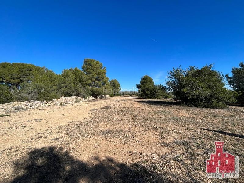 Foto 48364184-c4b6-4035-9453-3855cdf2ba71. Finca rústica ref 6.000.- finca agrícola. la pobla de montornés (tarragona)
finca agrícola = 15.101m2 en Pobla de Montornès (La)