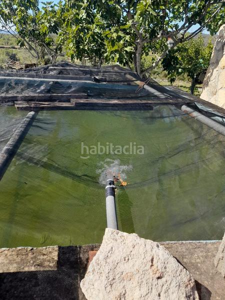 Foto 22ecf87a-a26d-4aeb-8ba8-c54405e03520. Finca rústica a Salomó