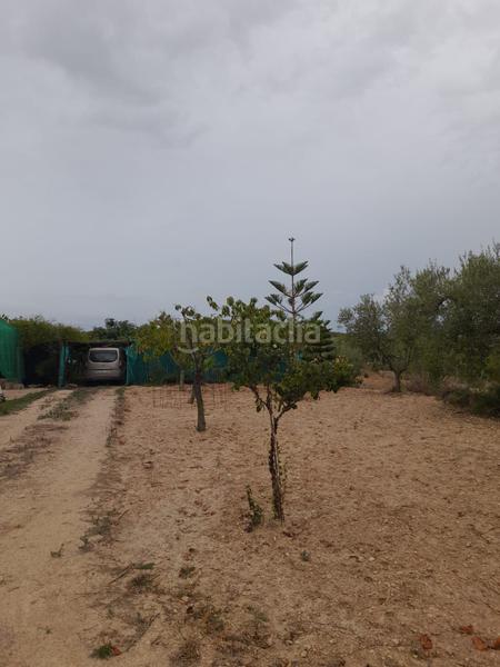 Foto 8ce03de7-94fa-4d2f-b368-877c5efbf31e. Finca rústica a Salomó
