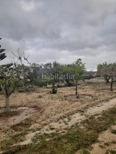 Foto 92e11b4e-6612-4eb8-b1f7-86cdaa730845. Finca rústica a Salomó