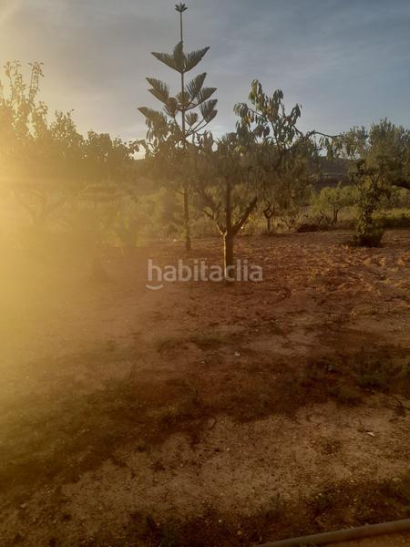 Foto e7c8b9c5-04d9-4adc-bf80-abde47b74f8f. Finca rústica a Salomó