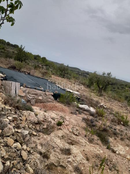 Foto f219e253-efc9-4777-992c-3b6cee967a86. Finca rústica a Salomó