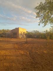 Landgut in Salom. Ref 6.001.- finca agrcola. salom (tarragona)
