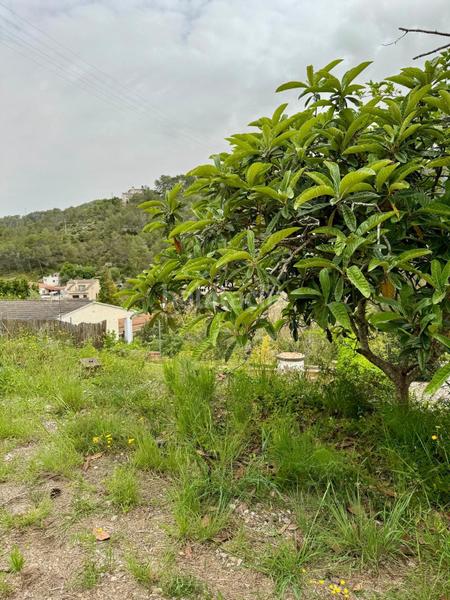 Foto e109415f-c87f-4bc4-b9e5-cf4ce535e122. Terreno residencial terreno en mas mestre en Olivella