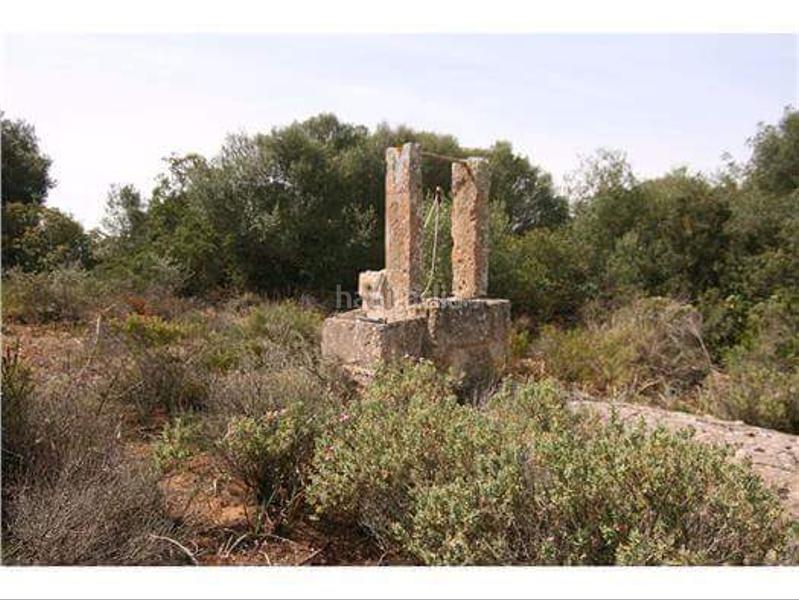 Foto 257d2487-2661-4e7a-b4ed-9fba564b6eb4. Masía gran finca rustica en cabo blanco en Cala Pi-Vallgornera Llucmajor