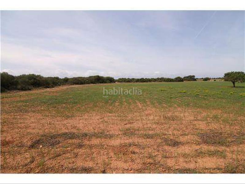 Foto 5b5c7430-a568-49d5-9899-1dc66ac07107. Masía gran finca rustica en cabo blanco en Cala Pi-Vallgornera Llucmajor