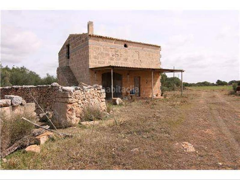 Foto 7bb6b89e-b4e1-4c3e-a8d7-a92e0bcf6fda. Masía gran finca rustica en cabo blanco en Cala Pi-Vallgornera Llucmajor