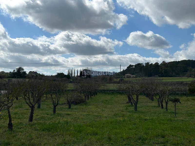 Foto 0ec730f7-12ef-4ea1-b09b-93bd6c9e1399. Casa magnifica finca rustica en Algaida
