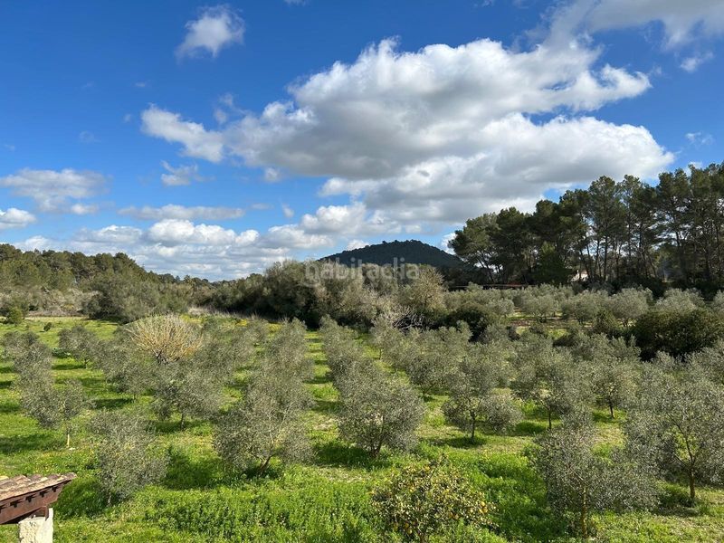 Foto 43a2b82f-fa96-4c7b-a676-4e69ecab3bf6. Casa magnifica finca rustica en Algaida