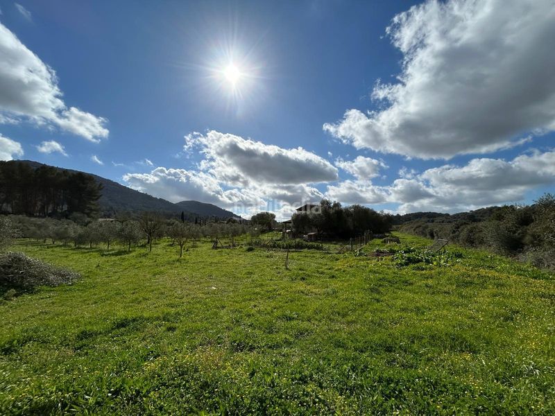 Foto 5354c0c3-ef3a-43e9-b0e1-ecb268b4d214. Casa magnifica finca rustica en Algaida