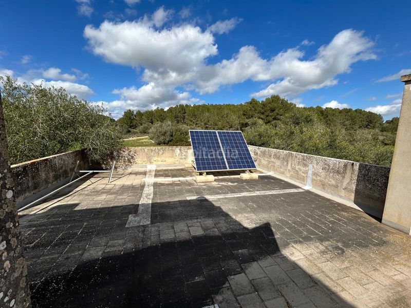 Foto 54309f67-93c7-48a5-9dbf-f5f01e619d03. Casa magnifica finca rustica en Algaida