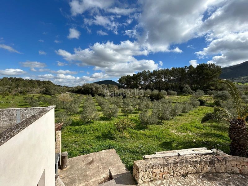 Foto 6130cd28-aa9e-43a7-81f5-2e448d20ed26. Casa magnifica finca rustica en Algaida