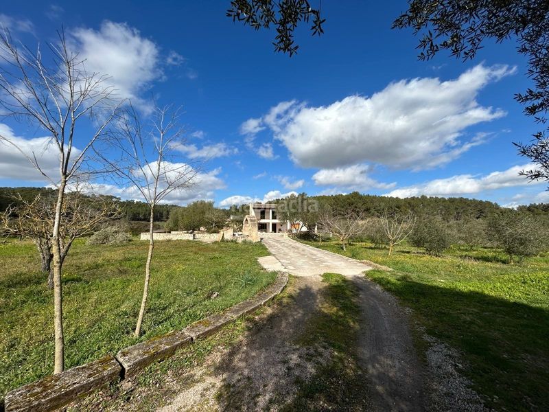 Foto 7538b19d-6924-41e6-84d9-79fe4426af31. Casa magnifica finca rustica en Algaida