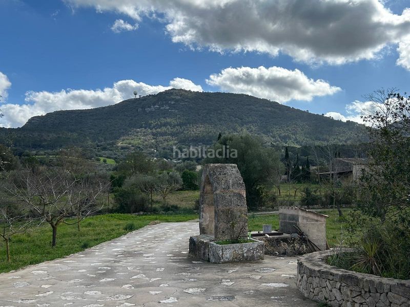 Foto 7864220d-5e7c-4818-b0b7-397653f851f6. Casa magnifica finca rustica en Algaida