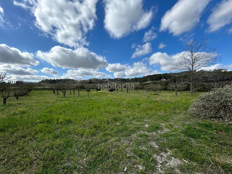 Foto 98efed64-3720-4c97-930a-ab5002cdd329. Casa magnifica finca rustica en Algaida