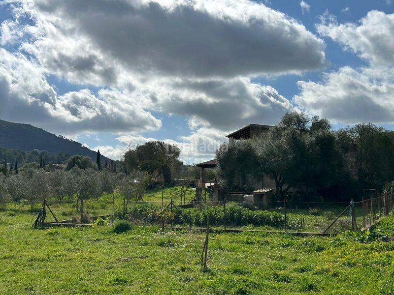 Foto af17d07c-cff8-4cc6-b9a4-210500df1fc6. Casa magnifica finca rustica en Algaida