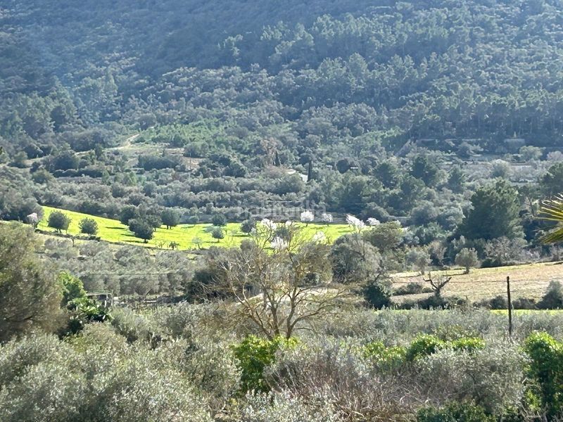 Foto f56bd832-761e-499d-bd43-49570fbce1b5. Casa magnifica finca rustica en Algaida