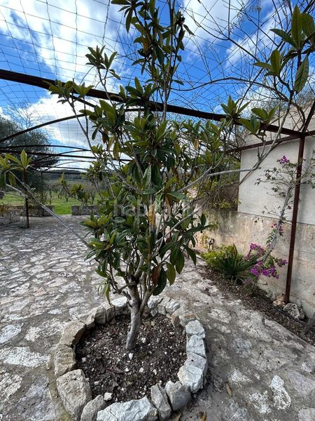 Foto fa4904ef-6b96-45d9-a1d8-7a58dbbcf60d. Casa magnifica finca rustica en Algaida