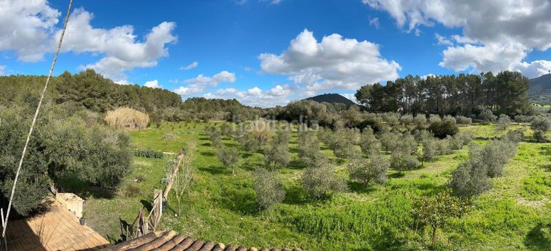 Foto fb0bec66-cc71-4bf7-8335-fc967875768a. Casa magnifica finca rustica en Algaida