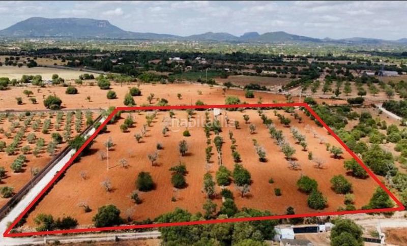 Foto 01f88e3d-2f37-4fc0-bafd-4fc1182b8e69. Finca rústica a Llucmajor interior Llucmajor