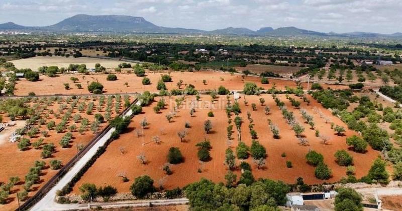 Foto 0b9fa0a0-f499-414d-9215-4a6e8f4df02c. Finca rústica a Llucmajor interior Llucmajor