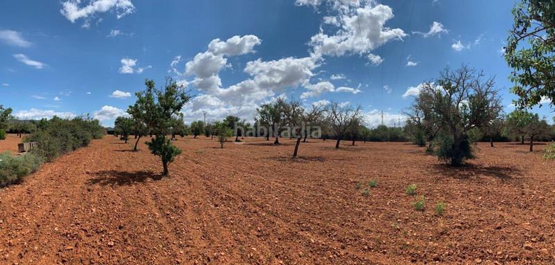 Foto 2811a8ec-d9fa-4074-86e6-65d6206a8e51. Finca rústica a Llucmajor interior Llucmajor