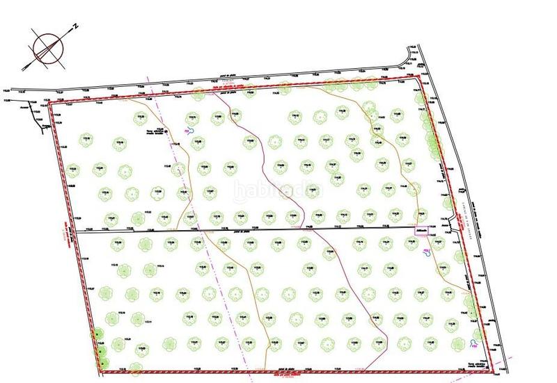 Foto 3d293094-fe36-408a-b2e9-cc5aada52f30. Finca rústica a Llucmajor interior Llucmajor