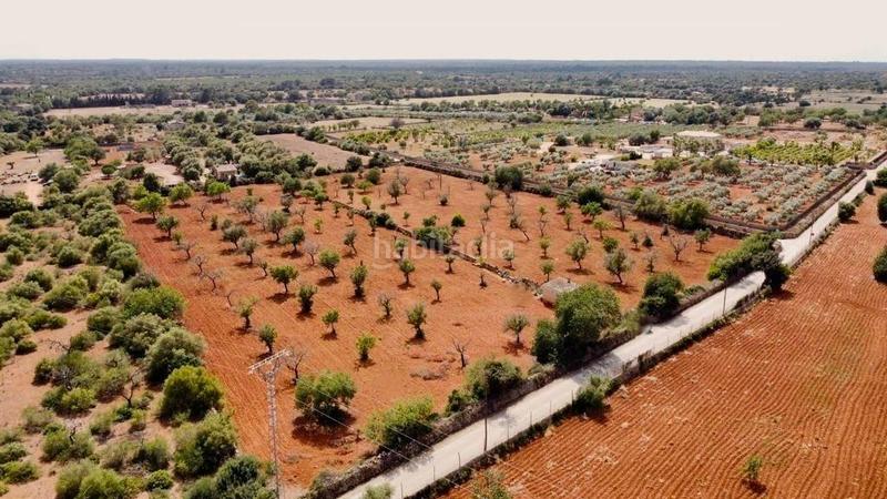 Foto 57d75bb4-3e72-4333-b0e0-677967348bfe. Finca rústica a Llucmajor interior Llucmajor