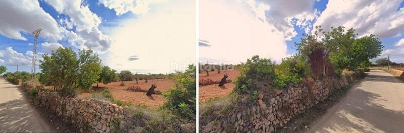 Foto 5f635b1f-4382-4497-bb30-253cff27dabc. Finca rústica a Llucmajor interior Llucmajor