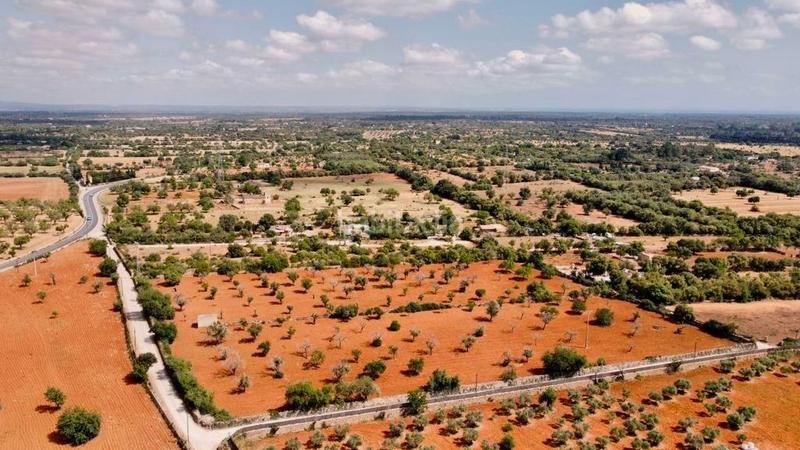 Foto bf52fb02-efb5-418d-a1a6-44462c89fca6. Finca rústica a Llucmajor interior Llucmajor