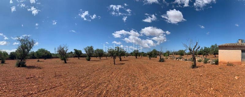 Foto c3e3f1fa-a0bc-4653-8803-a2a991febc41. Finca rústica a Llucmajor interior Llucmajor