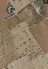 Rural plot in Campos. Terreno urbanizable con proyecto de vivienda  en campos